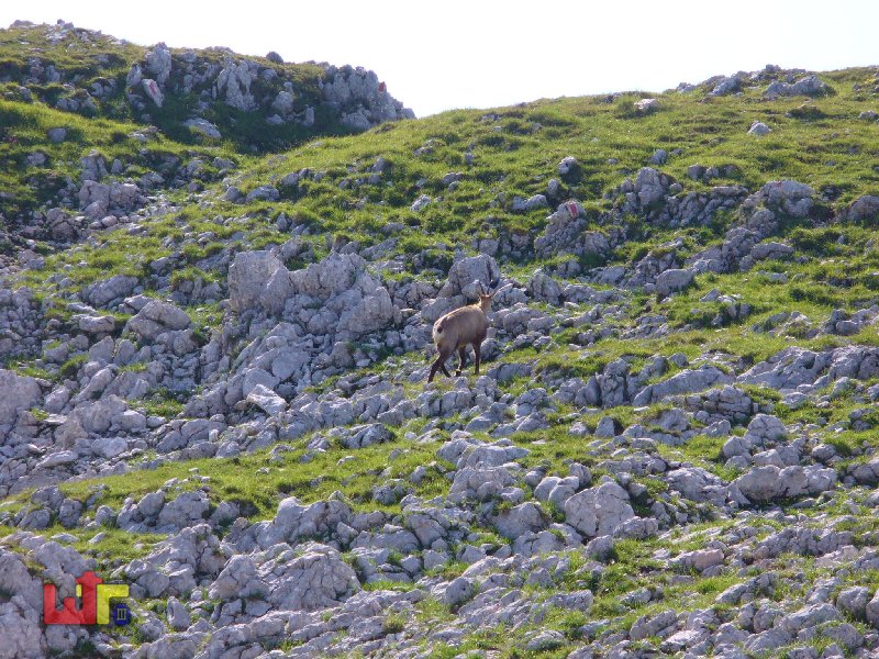 Tour Reiteralpe 2005